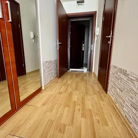 Apartment Alexandr Vigo